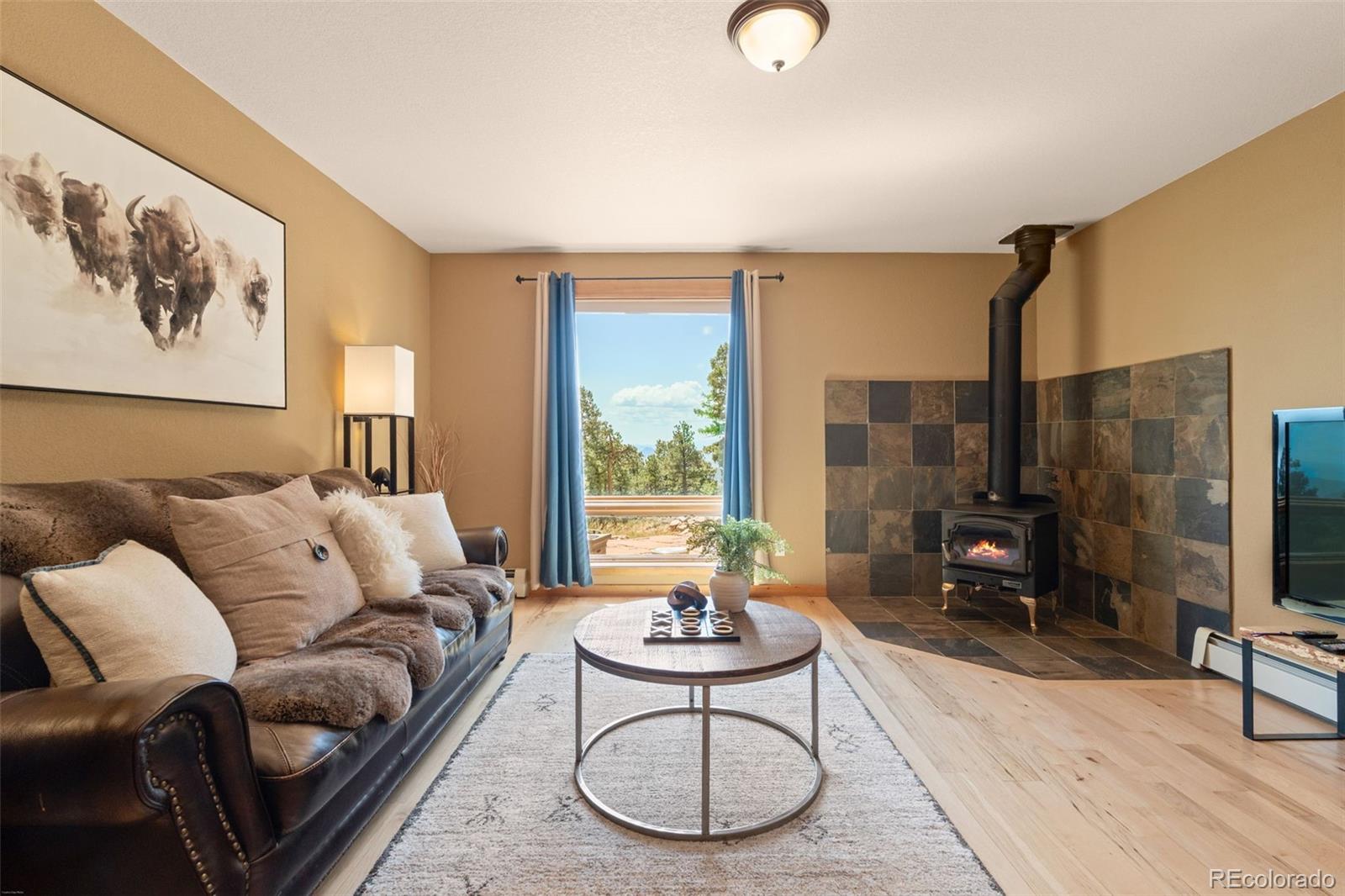 13432 Riley Peak Road Conifer, CO 80433 - Photo 36 of 50