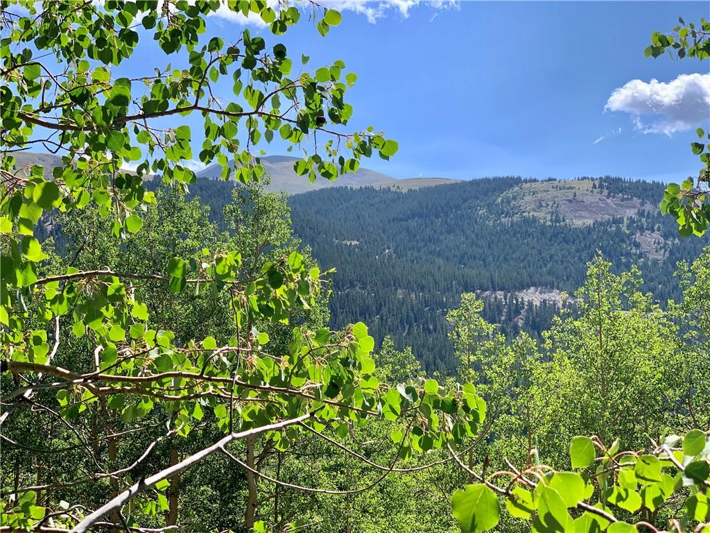 725 Roberts Road Alma, CO 80420 - Photo 1 of 24 Gallery Image 1