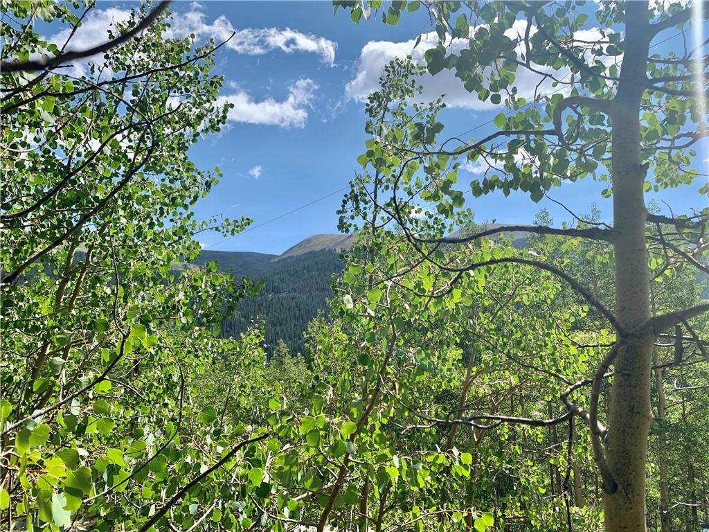 725 Roberts Road Alma, CO 80420 - Photo 2 of 24 Gallery Image 2