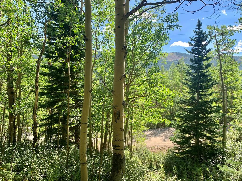 725 Roberts Road Alma, CO 80420 - Photo 11 of 24 Gallery Image 11
