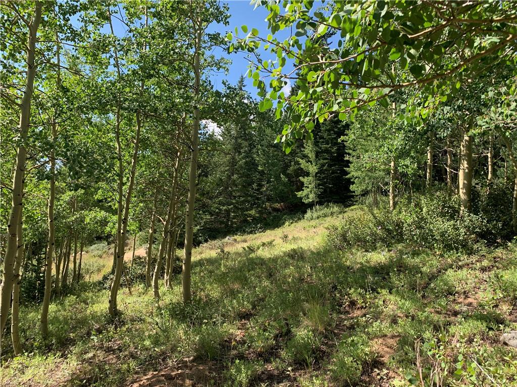 725 Roberts Road Alma, CO 80420 - Photo 14 of 24 Gallery Image 14