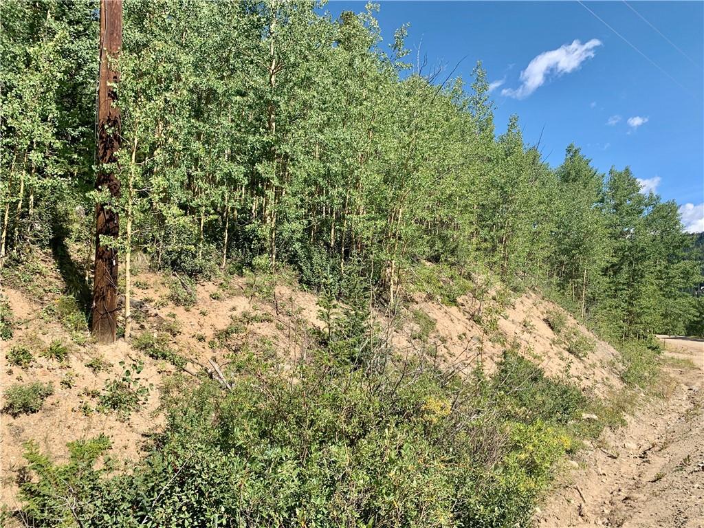 725 Roberts Road Alma, CO 80420 - Photo 22 of 24 Gallery Image 22