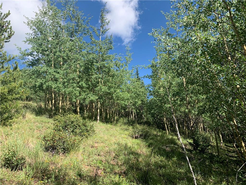 725 Roberts Road Alma, CO 80420 - Photo 5 of 24 Gallery Image 5