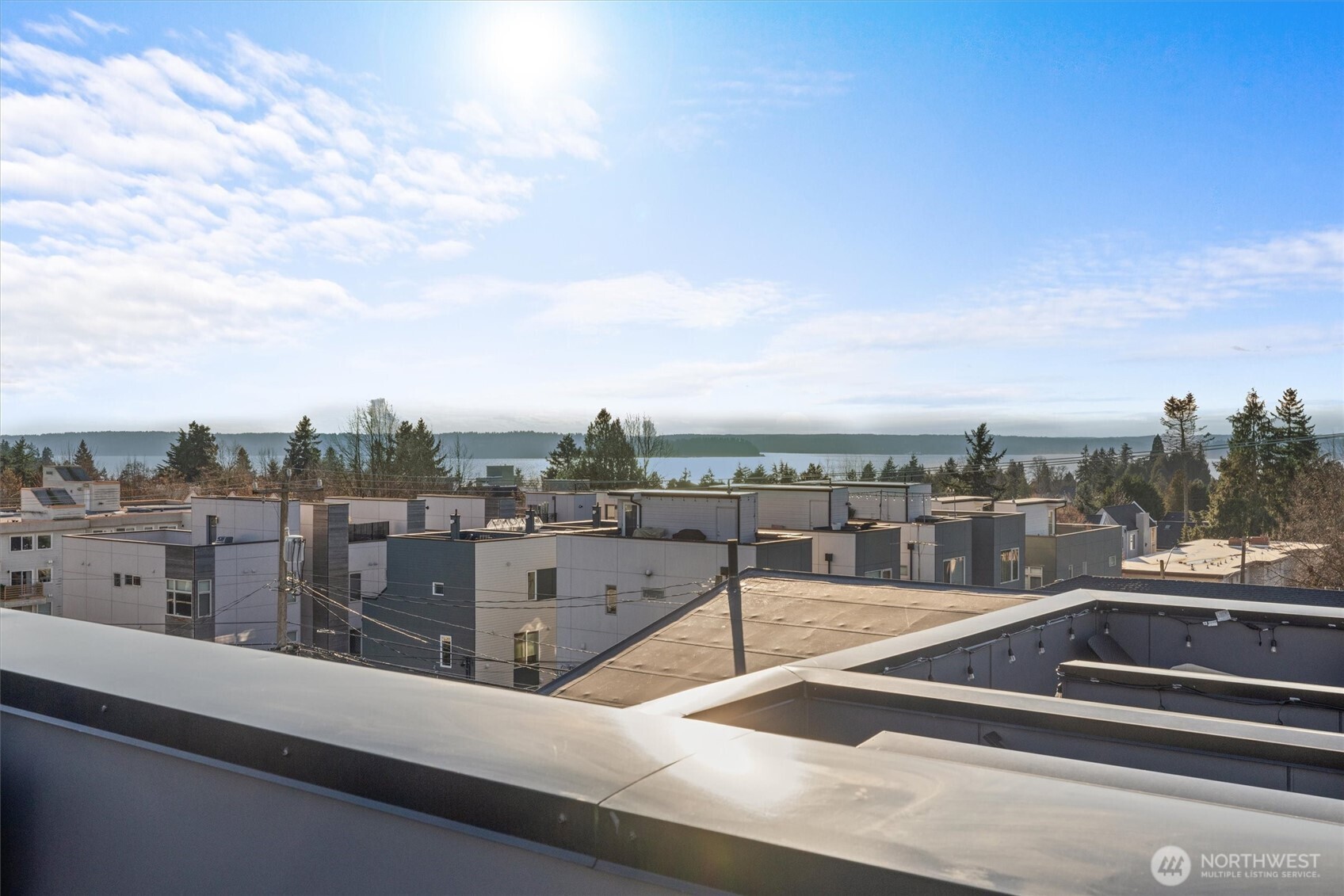 4203 Southwest Raymond Street Seattle, WA 98136 - Photo 34 of 40