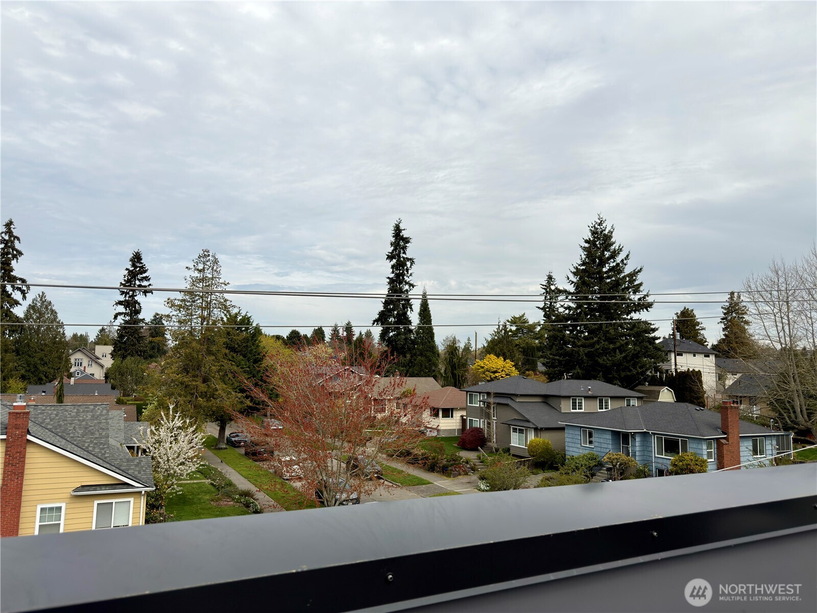 4203 Southwest Raymond Street Seattle, WA 98136 - Photo 35 of 40
