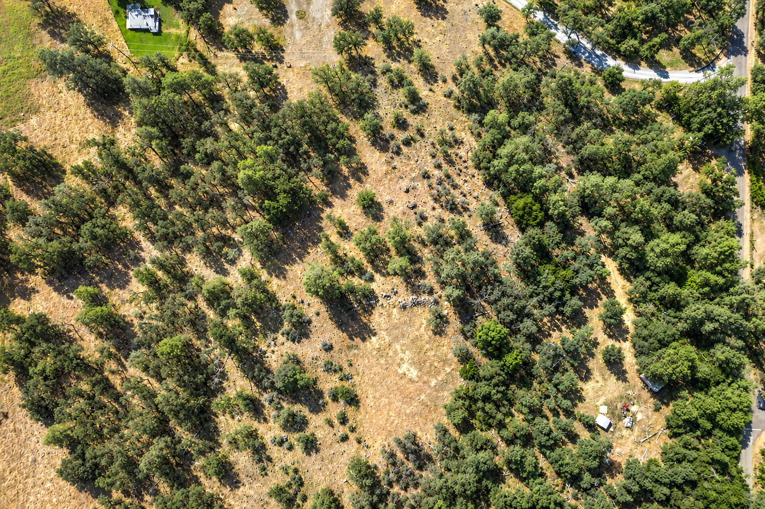 29391 Inwood Road Shingletown, CA 96088 - Photo 8 of 15 8