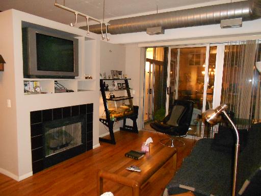 1000 West Adams Street, Unit 206 Chicago, IL 60607 - Photo 4 of 8