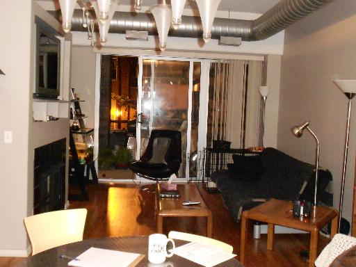 1000 West Adams Street, Unit 206 Chicago, IL 60607 - Photo 5 of 8