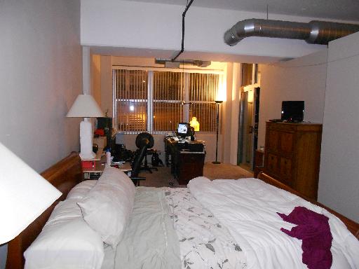 1000 West Adams Street, Unit 206 Chicago, IL 60607 - Photo 6 of 8