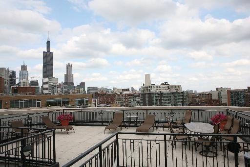 1000 West Adams Street, Unit 206 Chicago, IL 60607 - Photo 7 of 8