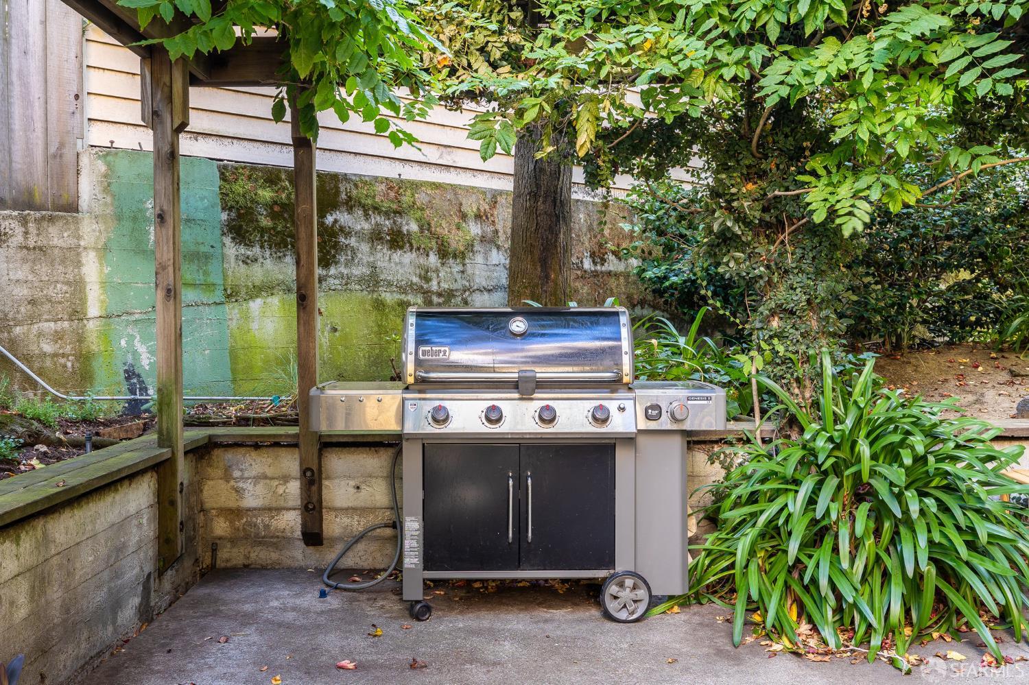 370 Church Street, Unit G San Francisco, CA 94114 - Photo 57 of 65 a view of a backyard with plants and a garden