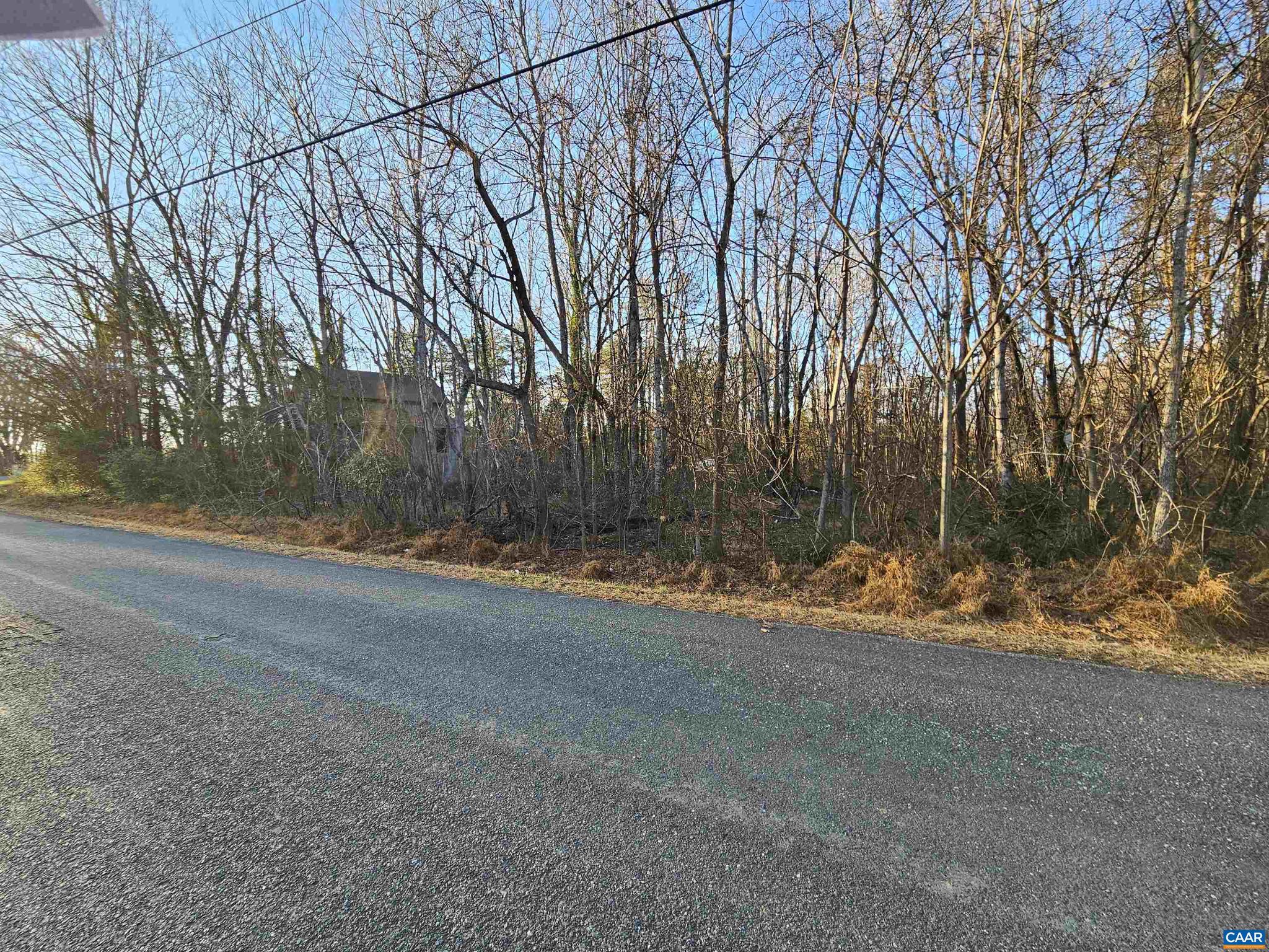 1-ac Physic Spring Road, Unit 4 Dillwyn, VA 23936 - Photo 4 of 6 Gallery Image 4