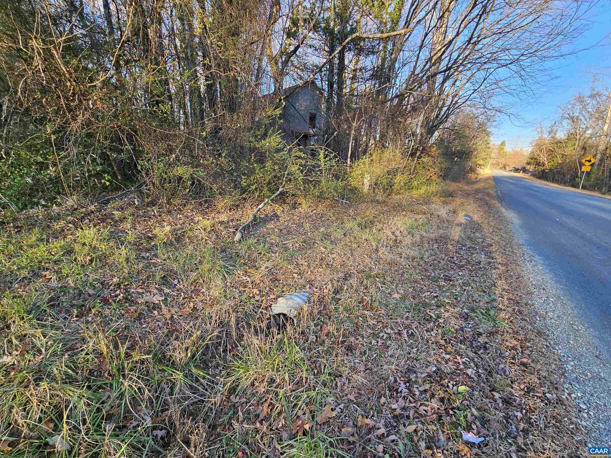 1-ac Physic Spring Road, Unit 4 Dillwyn, VA 23936 - Photo 6 of 6 Gallery Image 6