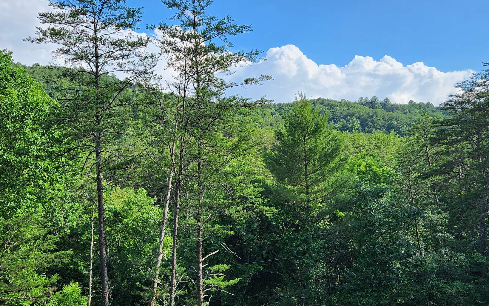 3.5-ac 3.5-ac Sassafras Ridge Road Turtletown, TN 37391 - Photo 4 of 16 Additional View