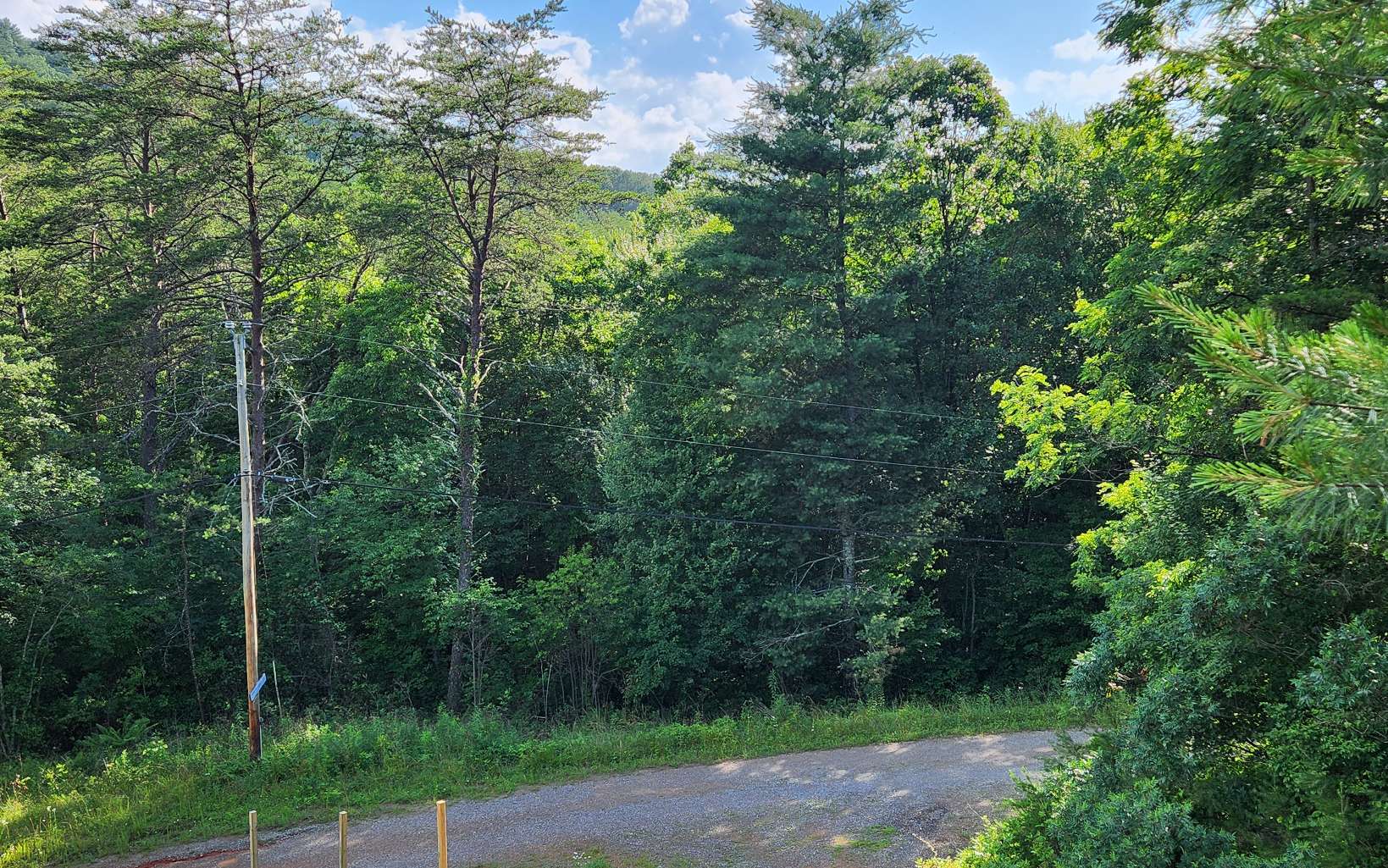 3.5-ac 3.5-ac Sassafras Ridge Road Turtletown, TN 37391 - Photo 7 of 16 Additional View