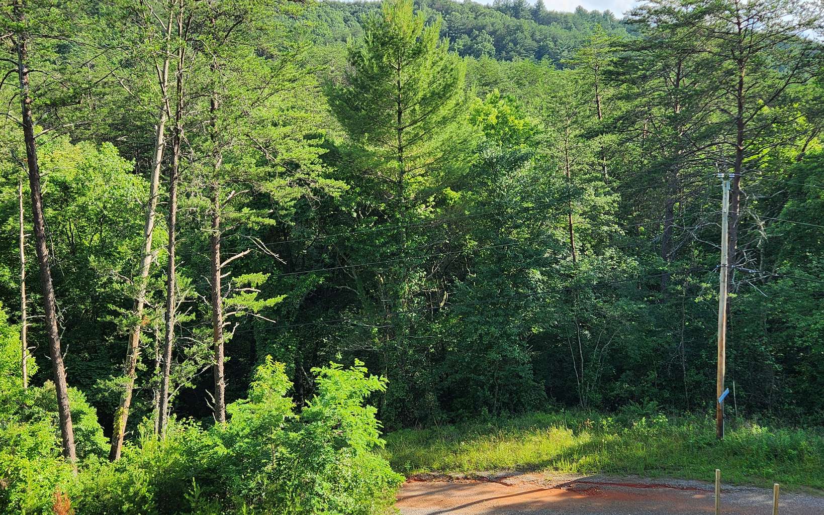 3.5-ac 3.5-ac Sassafras Ridge Road Turtletown, TN 37391 - Photo 9 of 16 Additional View