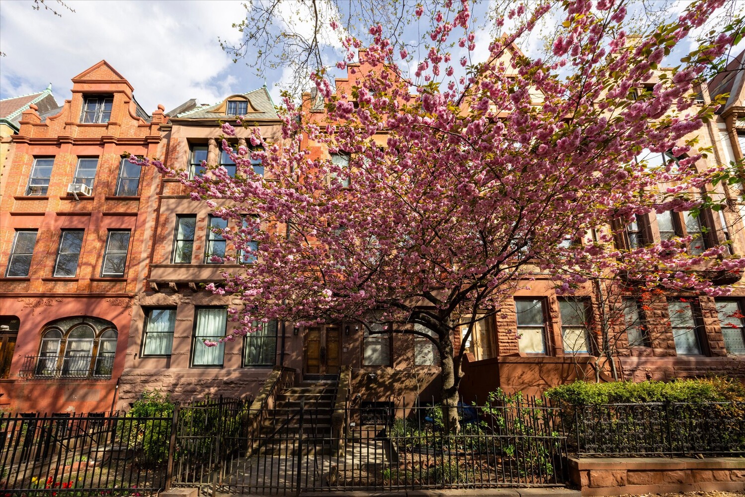 329 Convent Avenue Manhattan, NY 10031 - Photo 26 of 28 front view of a building