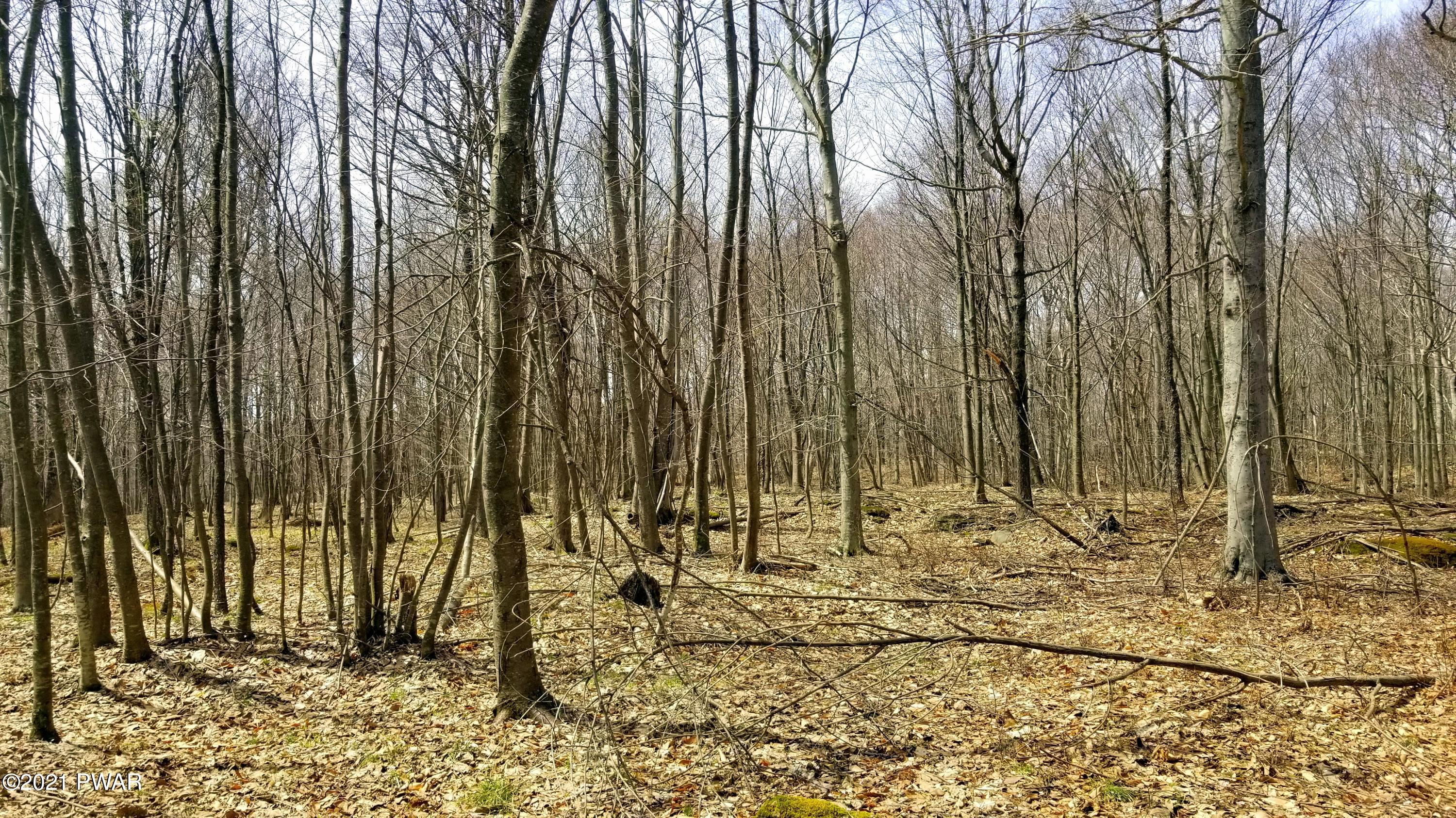 56 Highridge Road Equinunk, PA 18417 - Photo 7 of 38