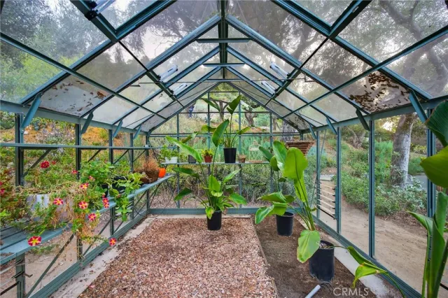 a view of a backyard with plants and large trees