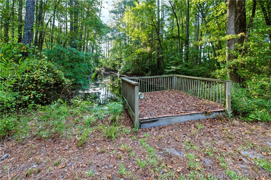 332-338 Docs Road Lillington, NC 27546 - Photo 38 of 50 Gallery Image 38