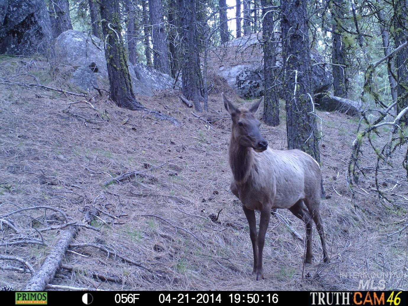L16-b1 Lantern Way Cascade, ID 83611 - Photo 24 of 32