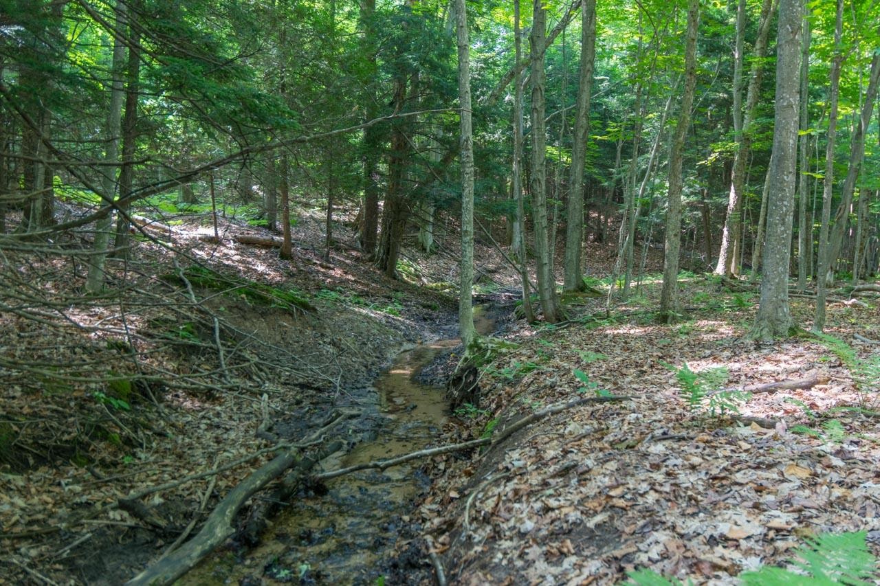 7557 South Schomberg Road Cedar, MI 49621 - Photo 40 of 52