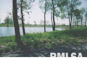 6865 Yellow Brick Road Du Quoin, IL 62832 - Photo 5 of 6