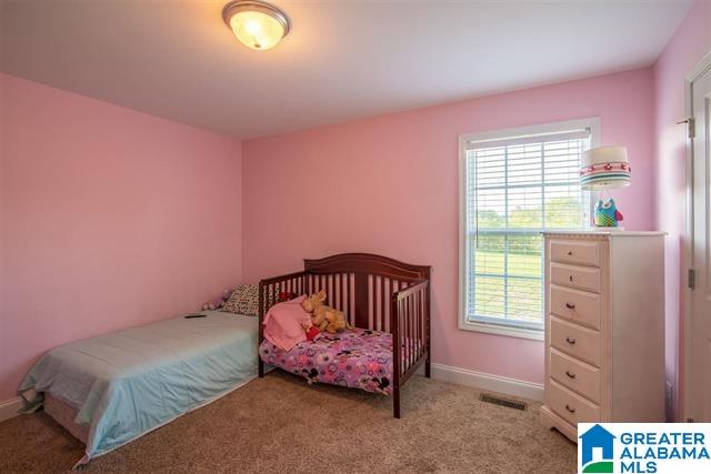 2596 Blake Way Warrior, AL 35180 - Photo 25 of 39