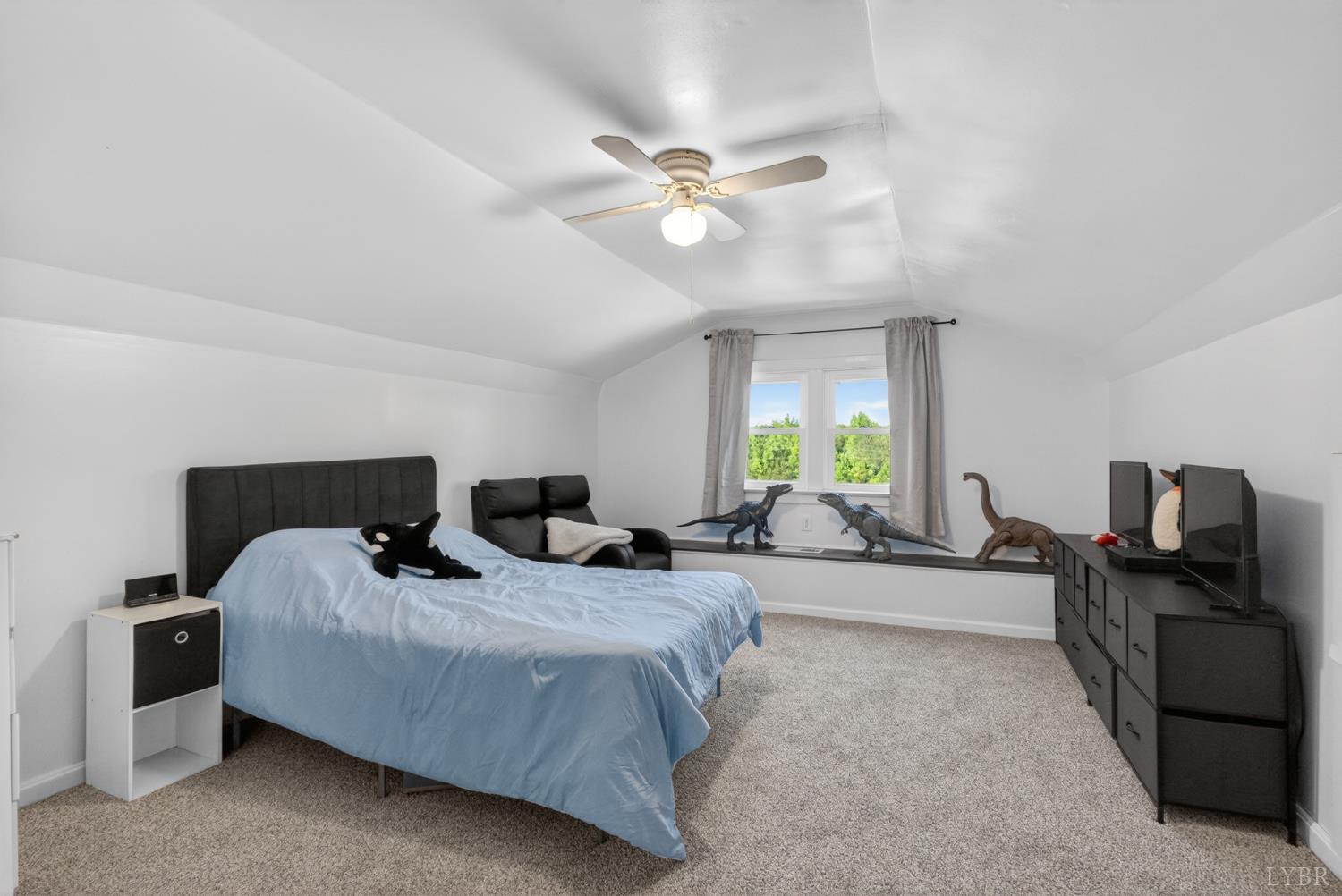 644 Campbell Crossing Road Meherrin, VA 23954 - Photo 27 of 49