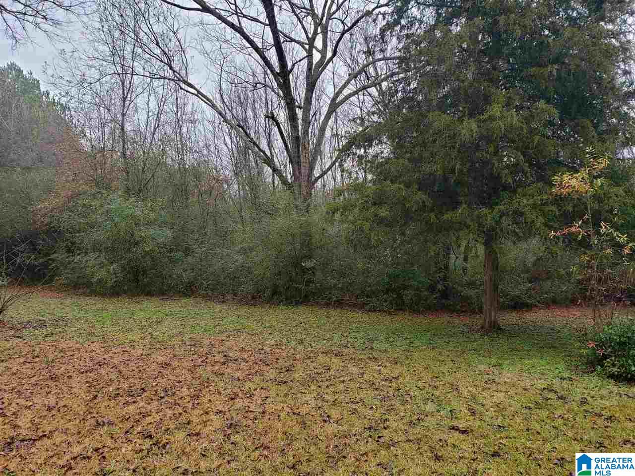 1625 Stemley Bridge Road, Unit 1 Talladega, AL 35160 - Photo 4 of 10