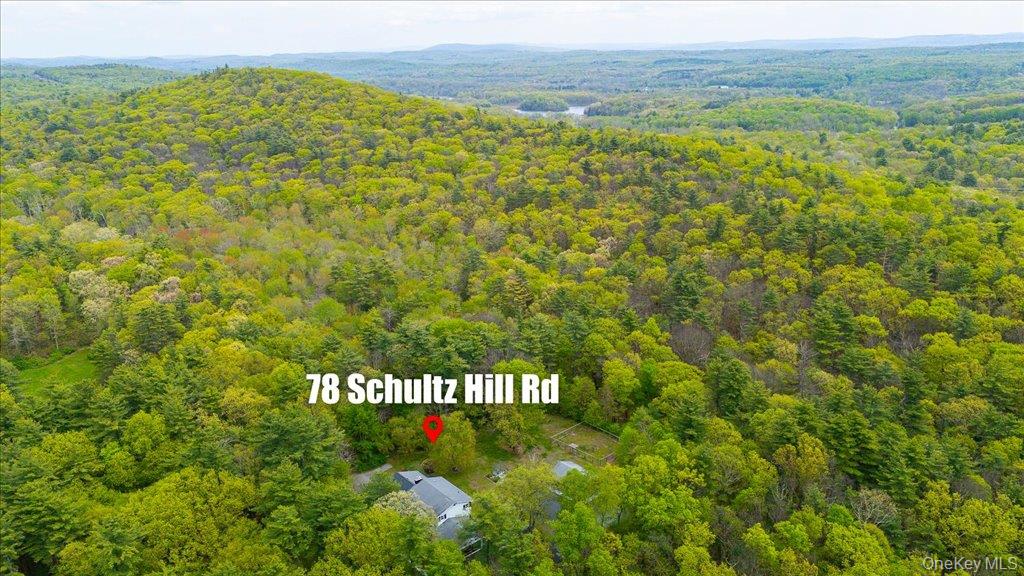 Drone / aerial view of a heavily wooded area