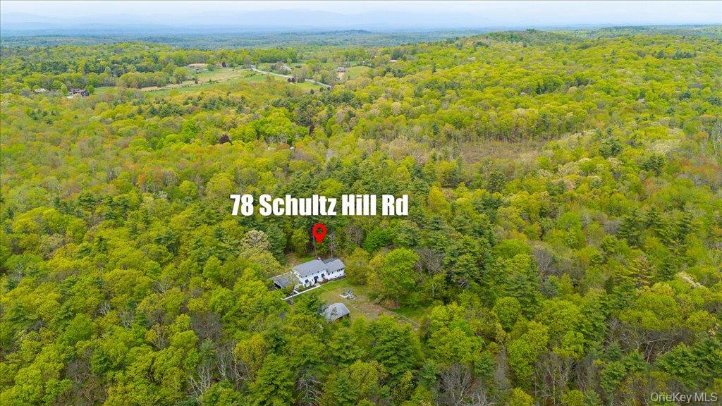 78 Schultz Hill Road Staatsburg, NY 12580 - Photo 31 of 50 Aerial view of a forest