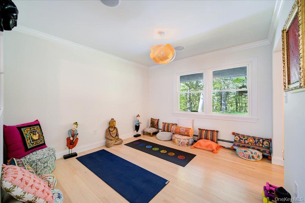 78 Schultz Hill Road Staatsburg, NY 12580 - Photo 40 of 50 Exercise room with wood finished floors, ornamental molding, baseboards, and a baseboard radiator