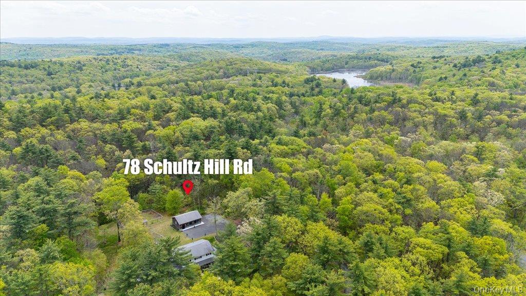 78 Schultz Hill Road Staatsburg, NY 12580 - Photo 47 of 50 Drone / aerial view of a forest and a nearby body of water