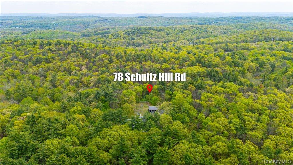78 Schultz Hill Road Staatsburg, NY 12580 - Photo 48 of 50 Drone / aerial view of a heavily wooded area