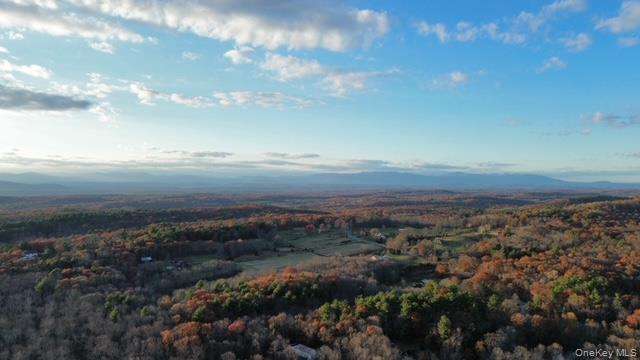 78 Schultz Hill Road Staatsburg, NY 12580 - Photo 49 of 50 Bird's eye view of a forest
