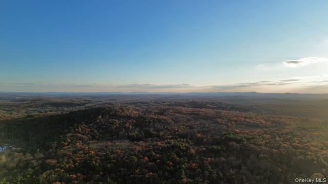 78 Schultz Hill Road Staatsburg, NY 12580 - Photo 50 of 50 Drone / aerial view of a forest