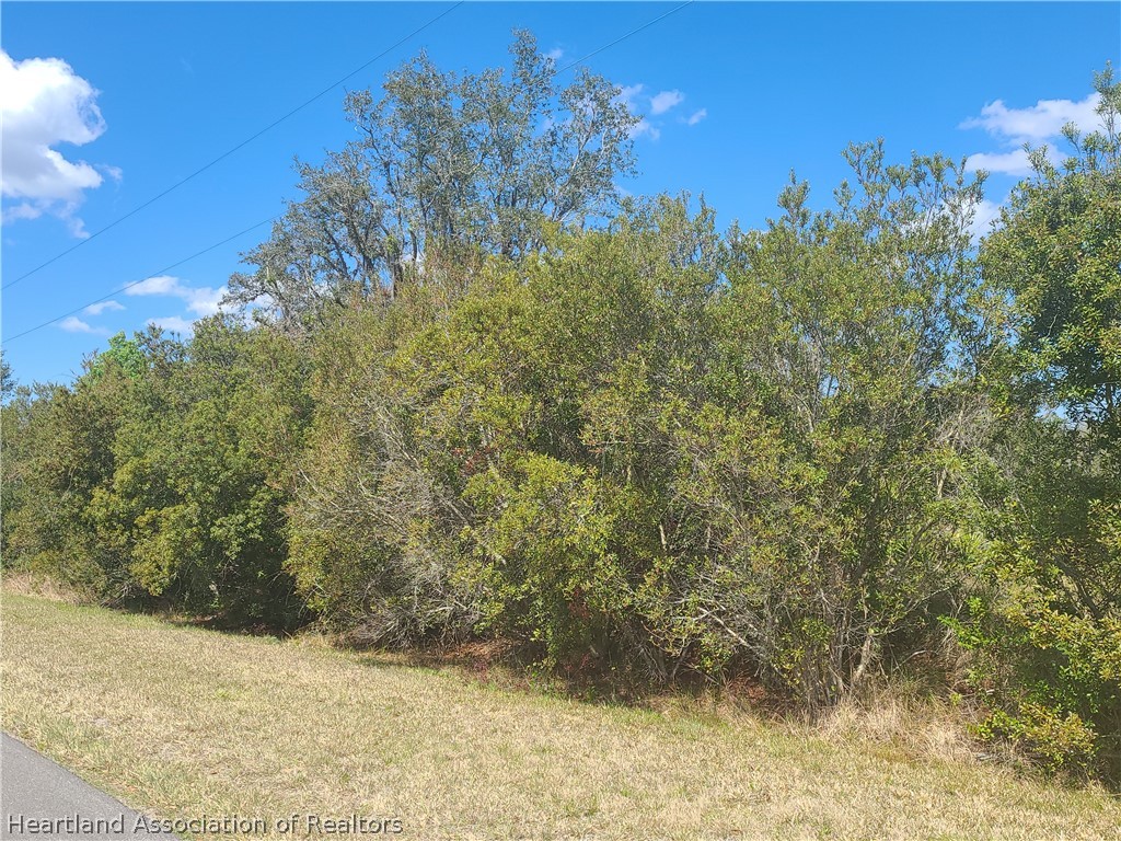2304 West Hampton Road Avon Park, FL 33825 - Photo 5 of 13 Gallery Image 5