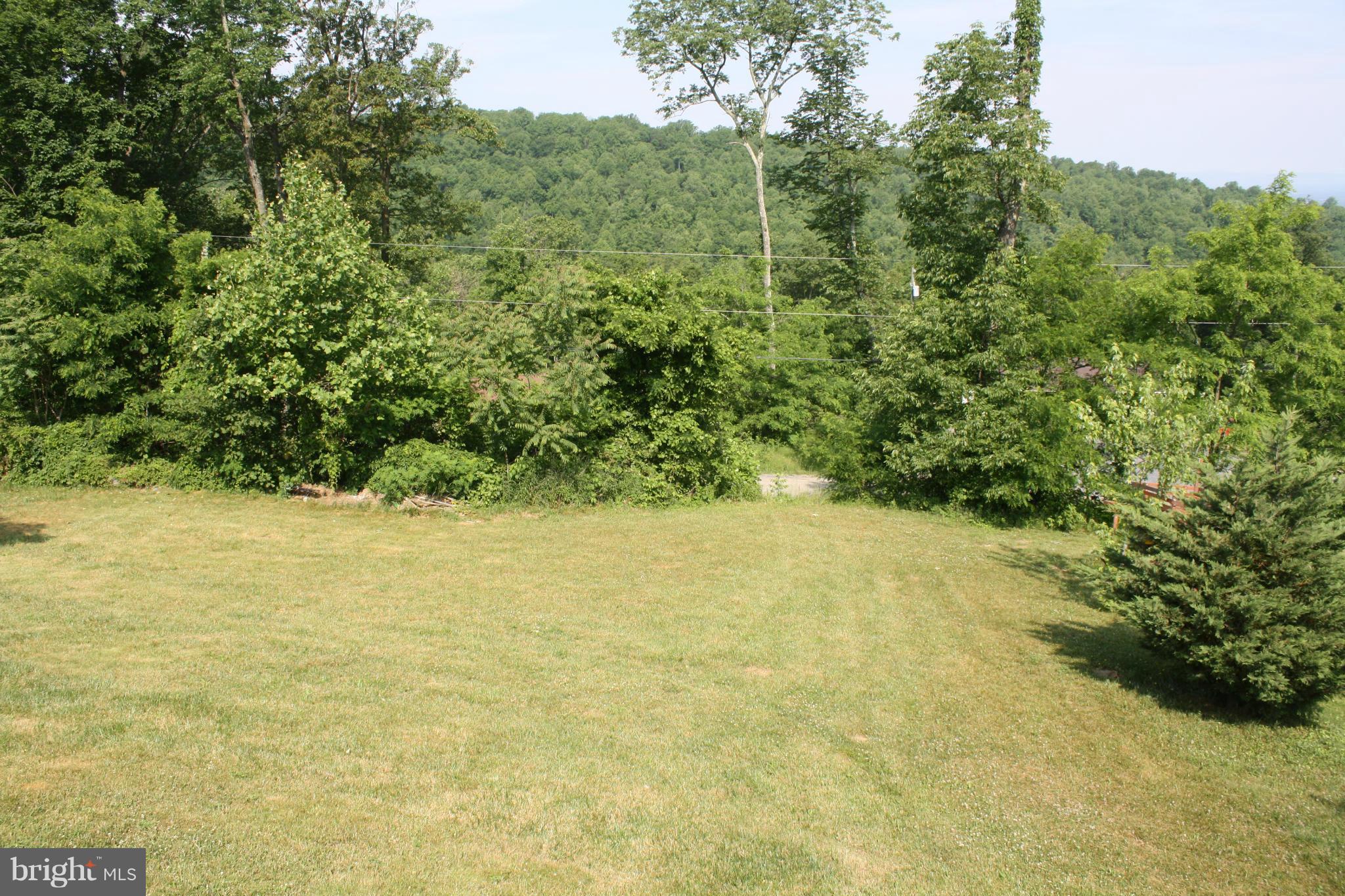 345 Mcdonalds Farm Road Linden, VA 22642 - Photo 9 of 29 a view of a yard and mountain view