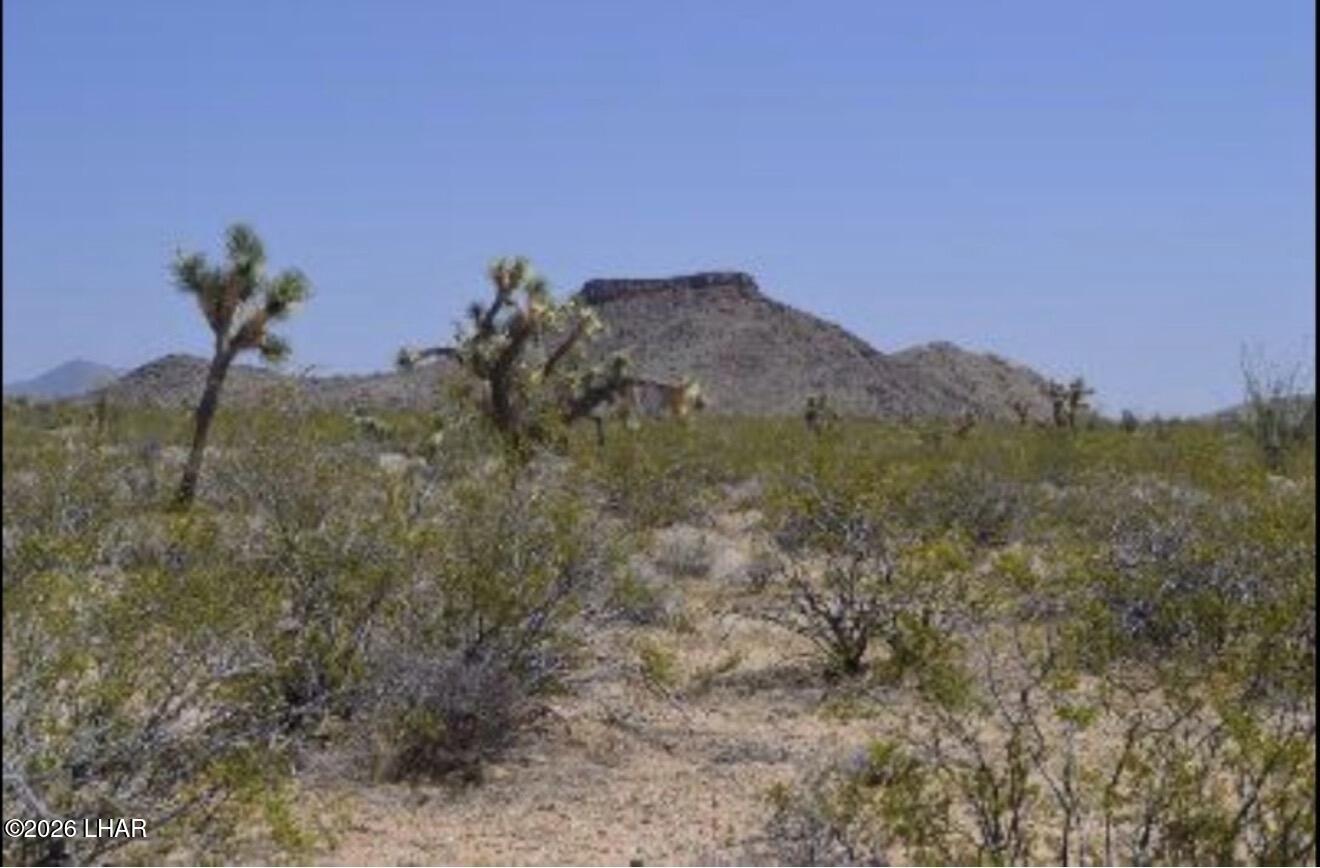 0 South Alvis Road Yucca, AZ 86438 - Photo 5 of 5