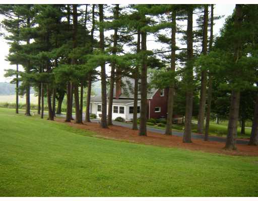 262 State Park Road New Alexandria, PA 15670 - Photo 12 of 13 Yard/Garden.