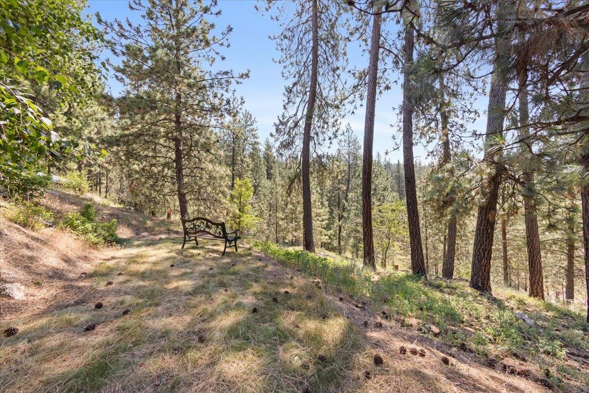 14307 East Cooper Road Mead, WA 99021 - Photo 33 of 49