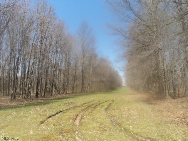 18264 Mill Road Berlin Center, OH 44401 - Photo 13 of 17 Gallery Image 13