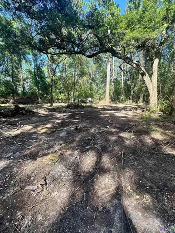 $50,000 | Tbd Caleb Lane, Springfield, LA 70462
