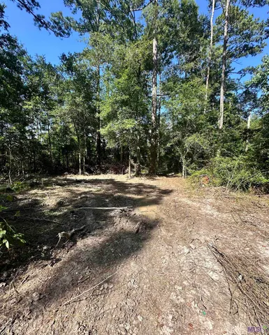 $50,000 | Tbd Caleb Lane, Springfield, LA 70462