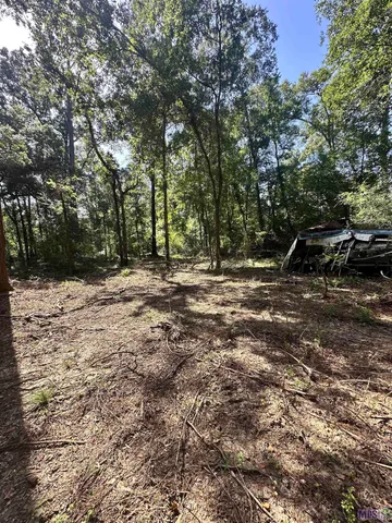 $50,000 | Tbd Caleb Lane, Springfield, LA 70462