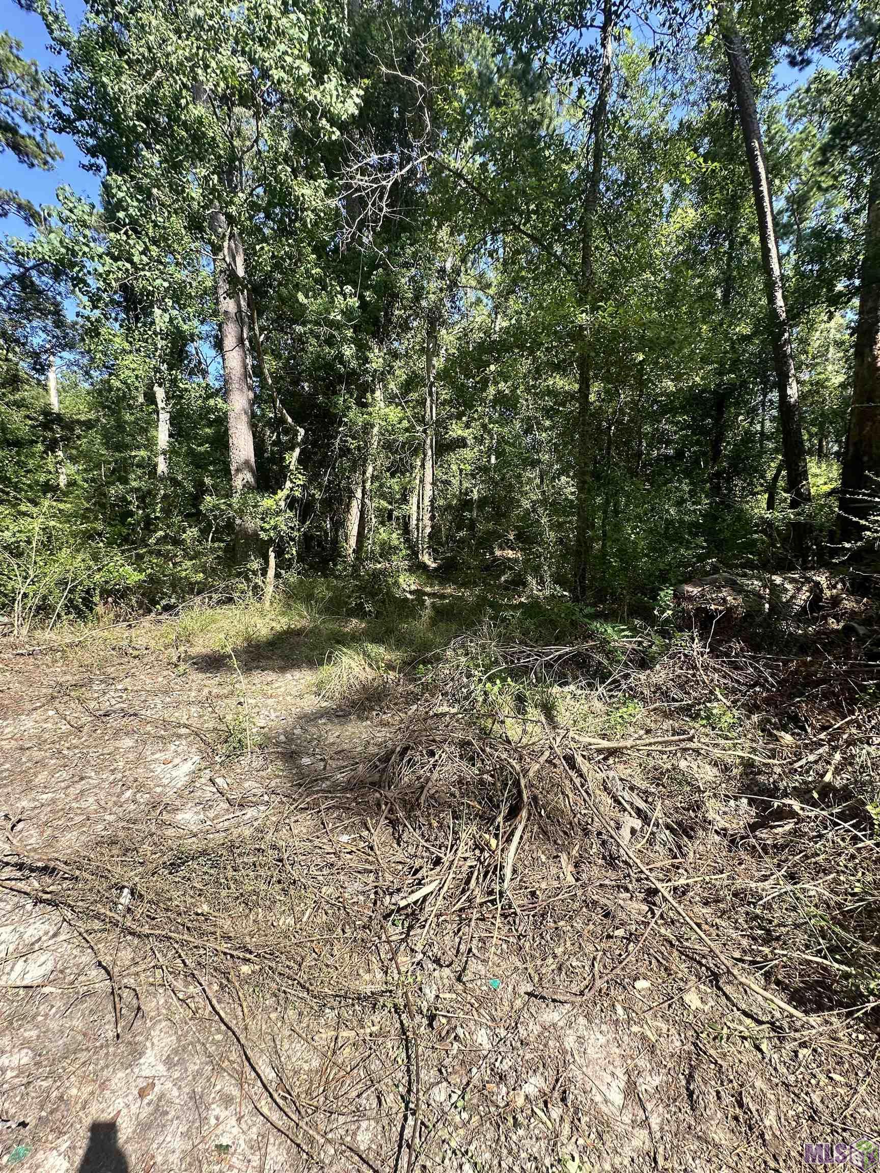 Tbd Caleb Lane Springfield, LA 70462 - Photo 4 of 5