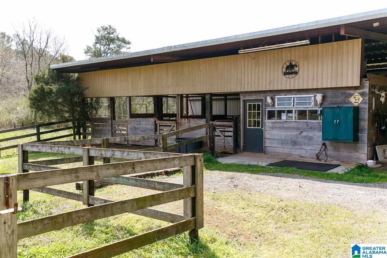 1701 Red Valley Road Remlap, AL 35133 - Photo 32 of 50