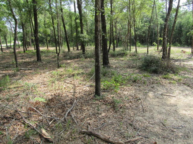 576 Peacock Road DeFuniak Springs, FL 32433 - Photo 27 of 28 IMG_1955