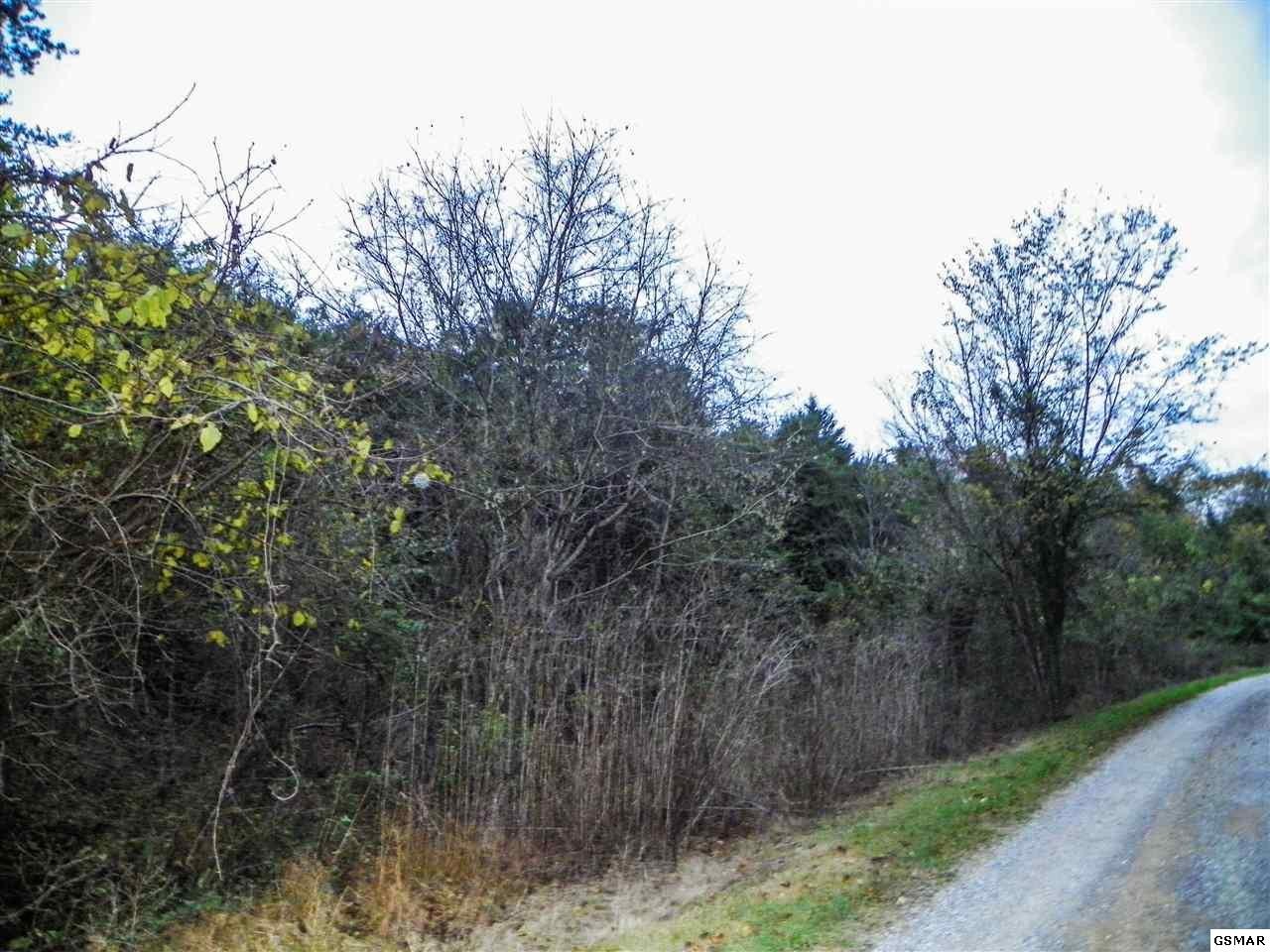 123 Caughron Mountain Road Sevierville, TN 37876 - Photo 9 of 14